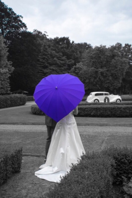 Huwelijk paarse paraplu