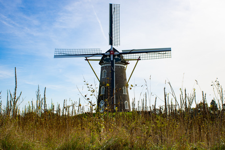 Rechtop in de wind