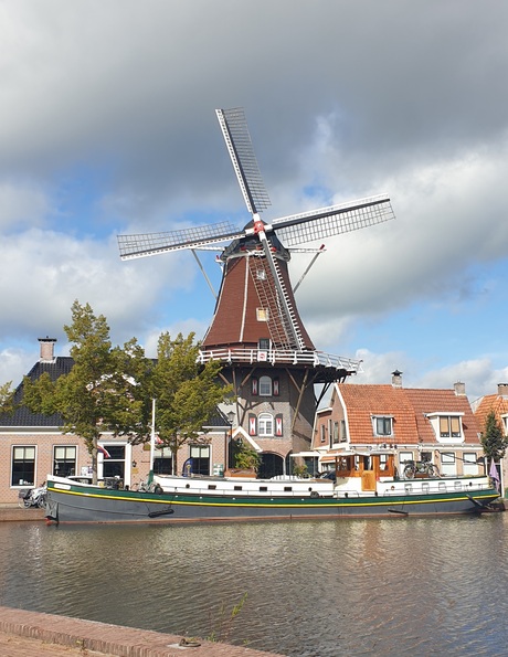 Molen