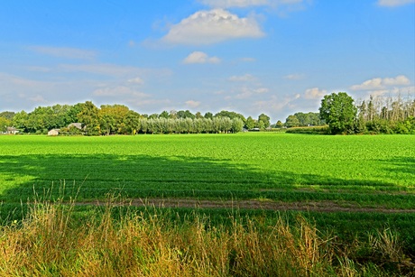 dromerig landschap