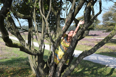 Onder de krentenboom