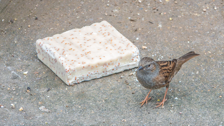 Een nieuw tablet ===