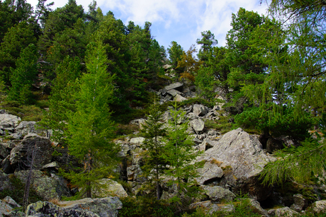 Landschappen in Karinthië Oostenrijk