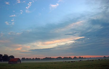 Landschap