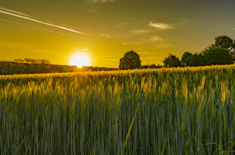 zonsopkomst