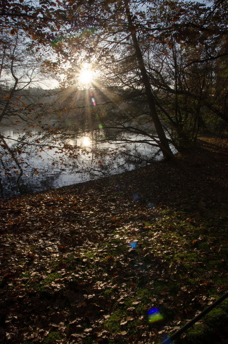 Lage herfstzon