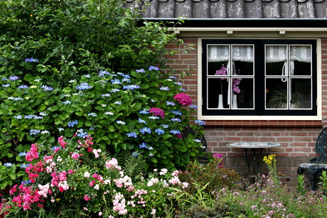 Bloemenpracht