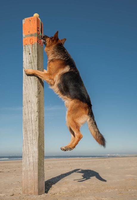 Pole climbing