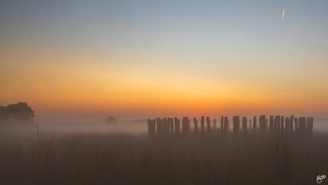 mystic morning treasures!