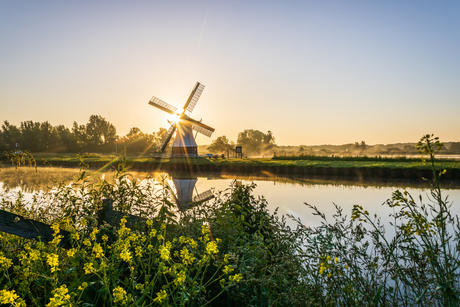 De Witte Molen