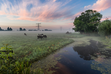 Polder