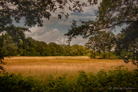 De Stroeten