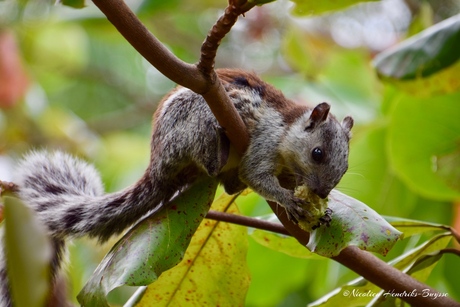 Just hanging around