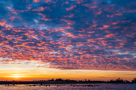 Kleurrijke zonsopkomst