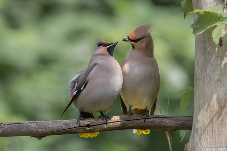 Hoe was jouw weekend ?