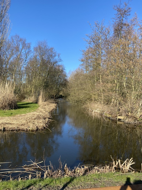 Natuur in Aalsmeer