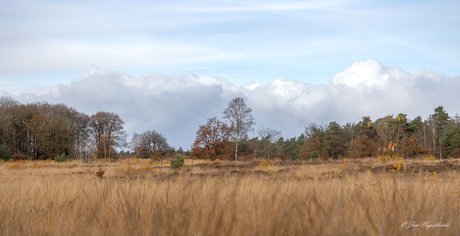 Herfst op de heide