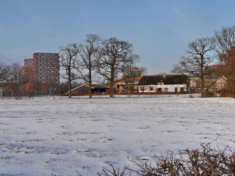 Nr 48. Van Utrecht naar Wijk bij Duurstede.