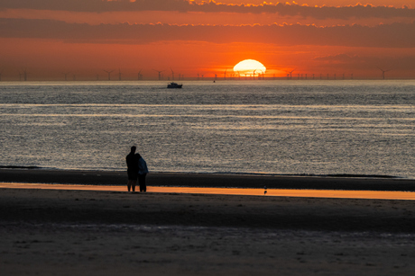 sunset