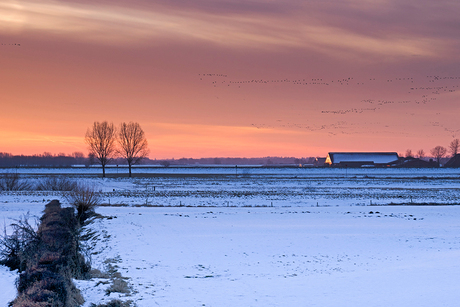 Winter - zonsopkomst