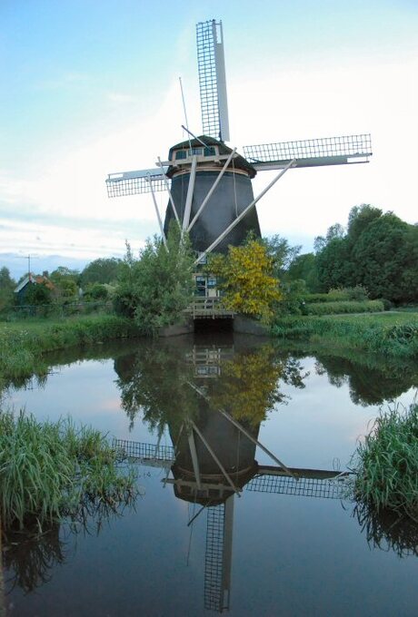 Molen