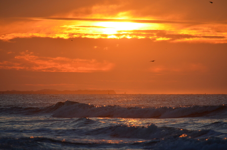 ZONSONDERGANG OP HET STRAND EN ZEEHONDJE 076.JPG