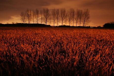 Veld met straatlicht