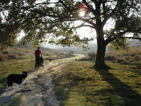 Weekendje Veluwe