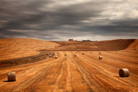 Tuscany fields