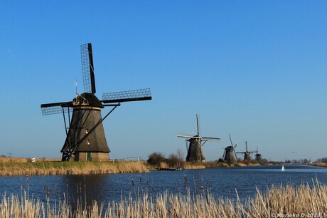 Kinderdijk 7 (laatste ?)