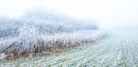 winter in de polder