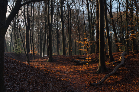 Landgoed Backershagen