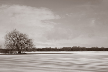 Sneeuw in kralingen