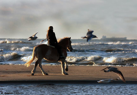 Ritje op strand