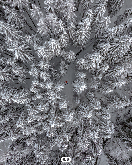 Wat een prachtige sneeuw deken over het landschap