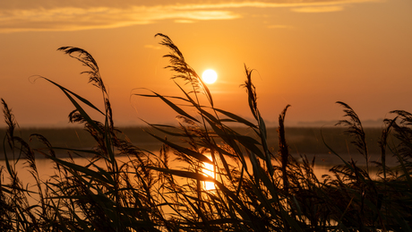 Opkomende zon waterlandschap