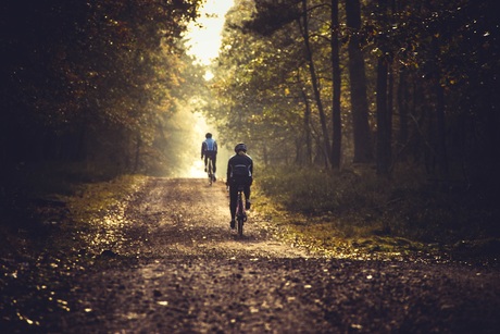 Fietsen op de veluwe