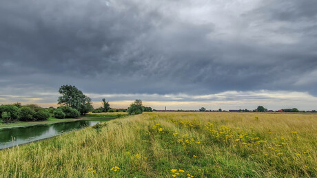 Gendtse Waard