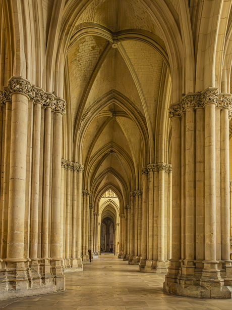 Dans le Cathédrale de Saint Pierre et Saint Paul
