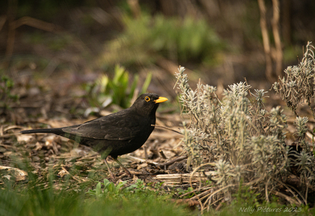 Pa Merel komt ook vaak even kijken