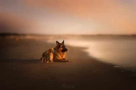 Enjoying the sunset together 