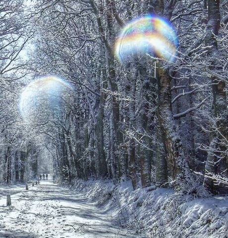 Orbs?