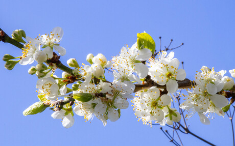 De lente komt eraan!