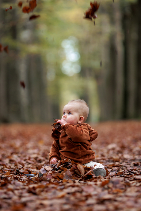 Kleine meisje in het bos