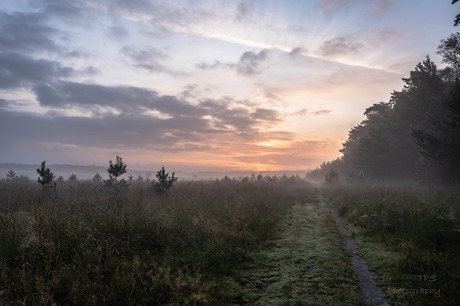 Veluwe