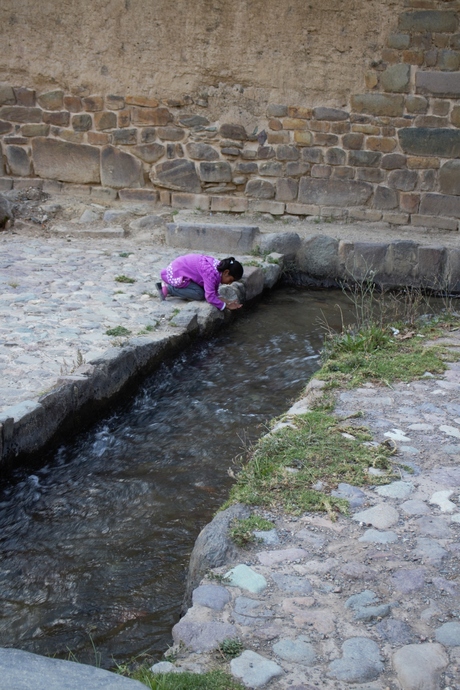 Dorst