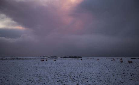 Winter op Ameland