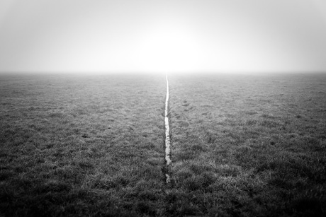 mist in de polder