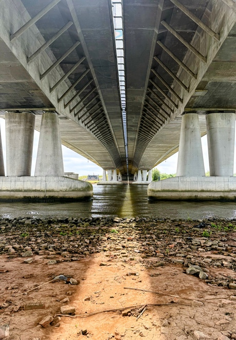Lichtstraal 