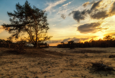 Wekeromse Zand